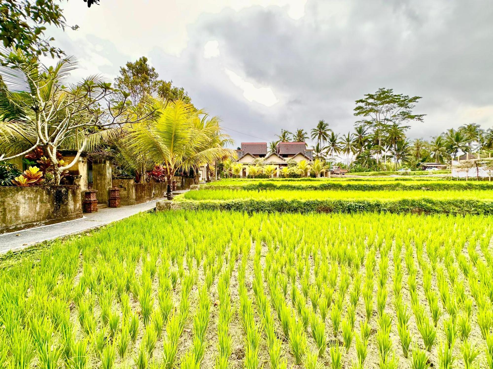 Dupa Ubud Exterior foto