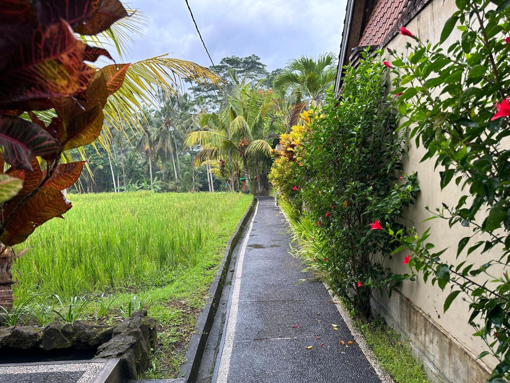 Dupa Ubud Exterior foto