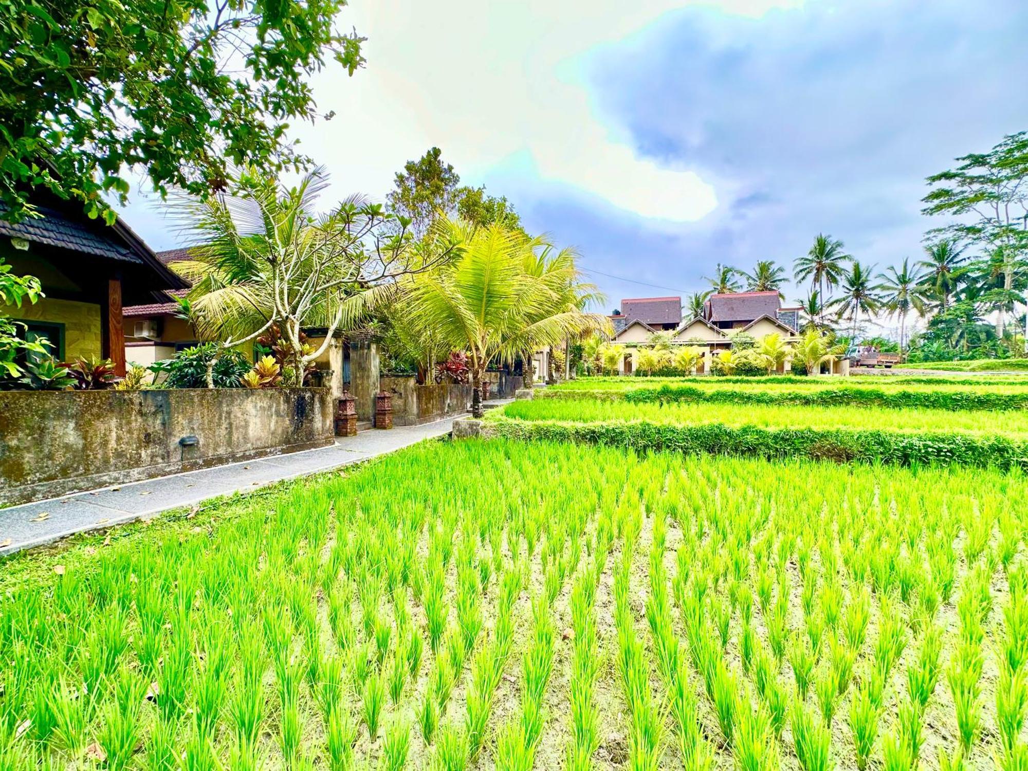 Dupa Ubud Exterior foto