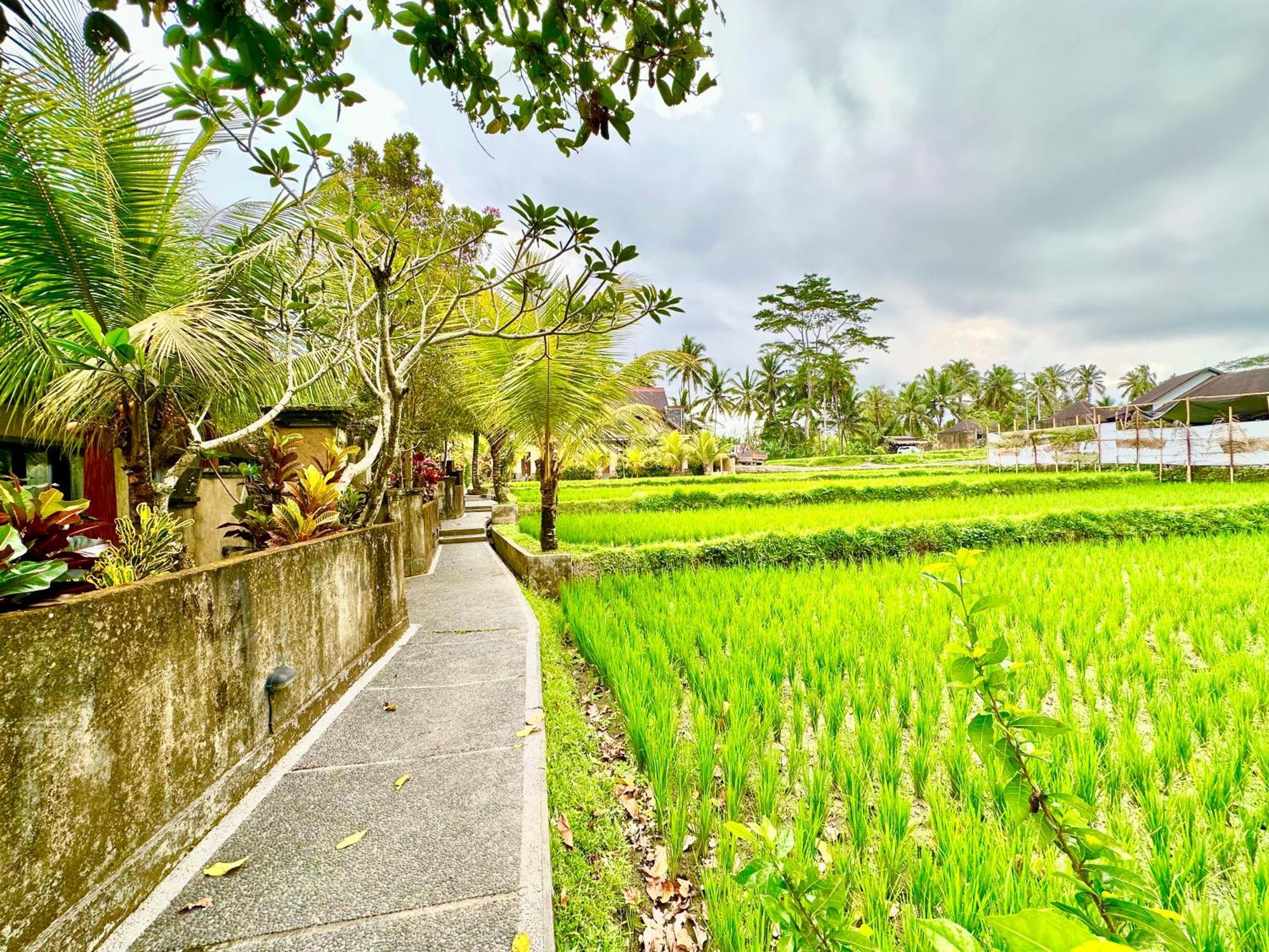 Dupa Ubud Exterior foto